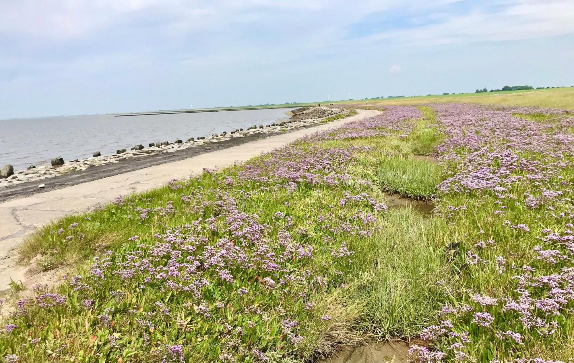 Haus Meerauszeit - Erholung An Der Nordsee Schweiburg Esterno foto
